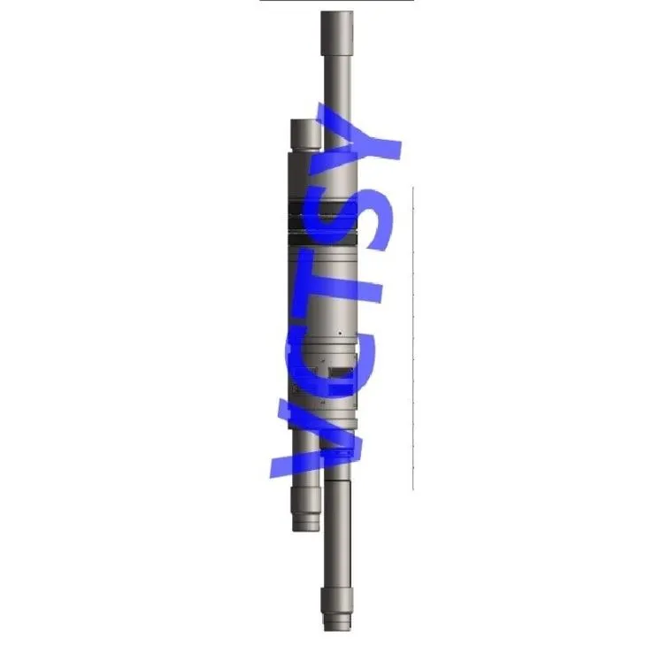 Dual Strings Downhole Packer